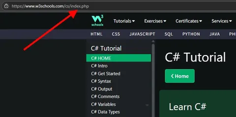 C Sharp Tutorial URL Mistake