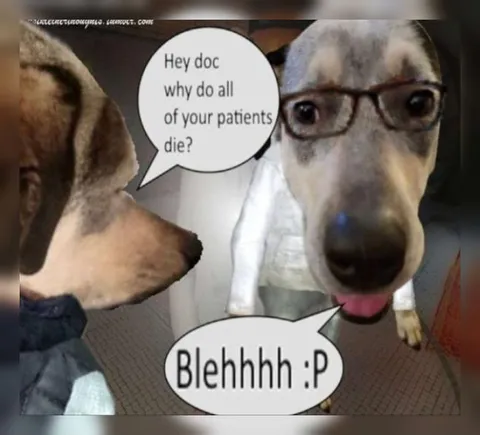 Dog Asks Why Patients Die