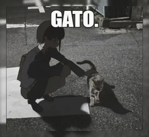 GATO acariciando un gato