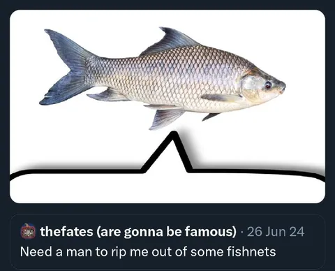 Fish Stuck in Fishnets