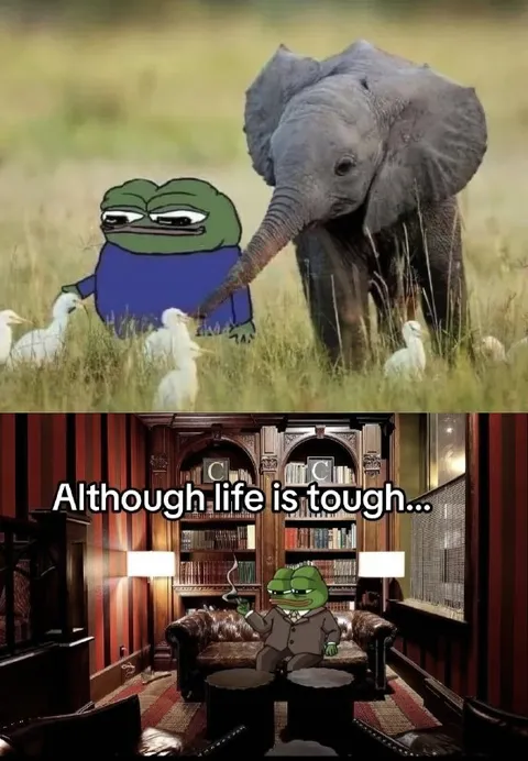 Although Life Is Tough Pepe