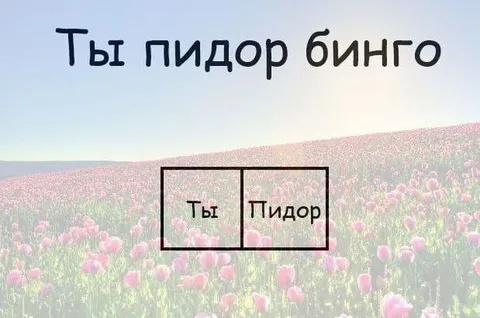 Ты пидор бинго