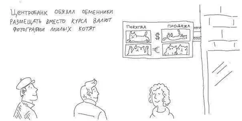 Фотографии котят вместо курса валют