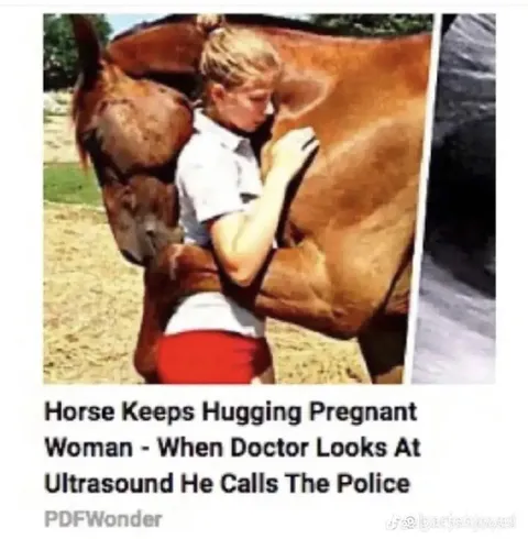 Horse Hugs Pregnant Woman