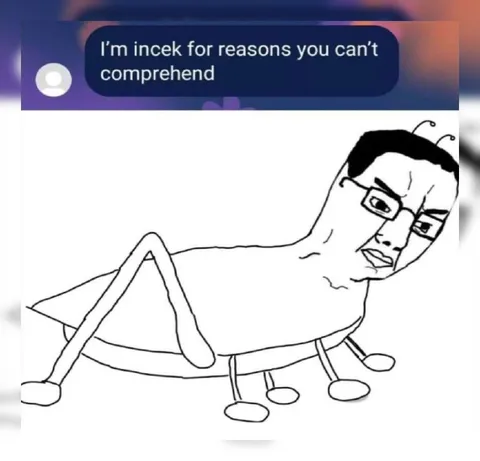 I’m inceк for reasons you can’t comprehend