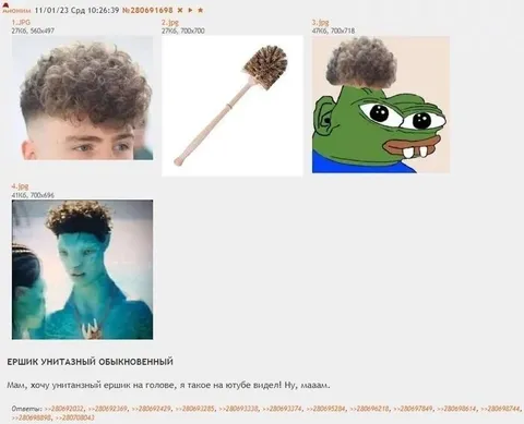 Унитазный ёршик на голове