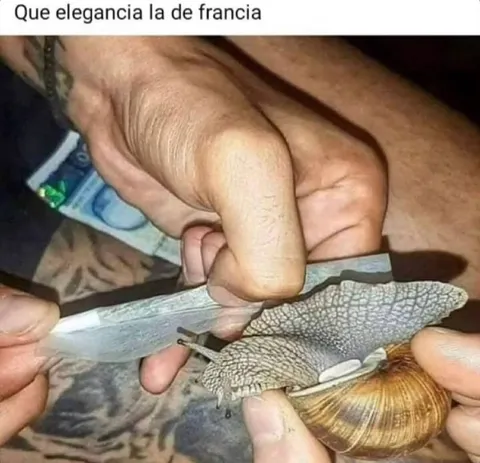 Qué elegancia la de Francia