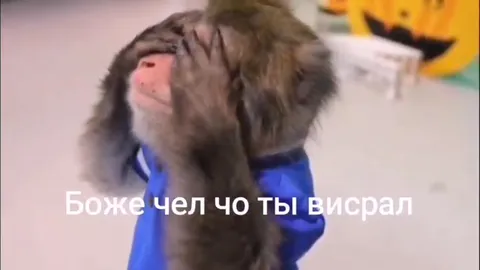 Обезьяна в отчаянии