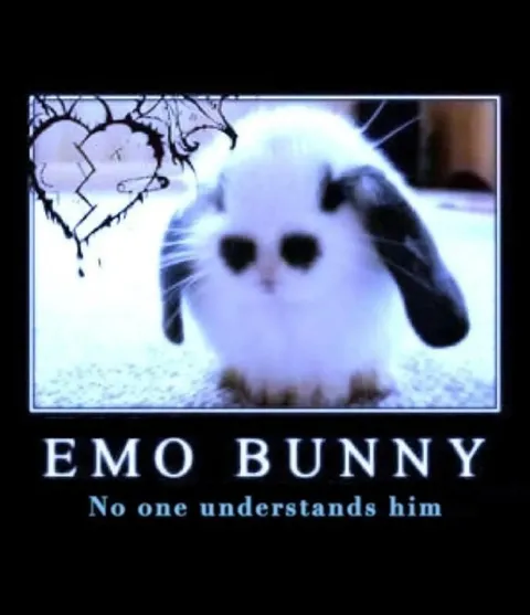Emo Bunny No One Understands