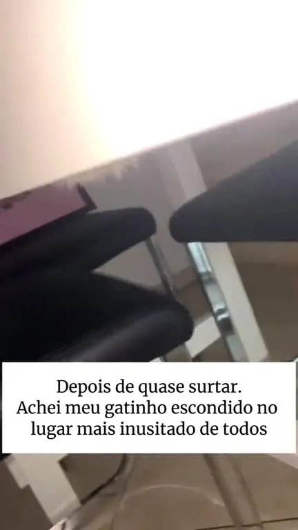 Gatinho escondido na cadeira