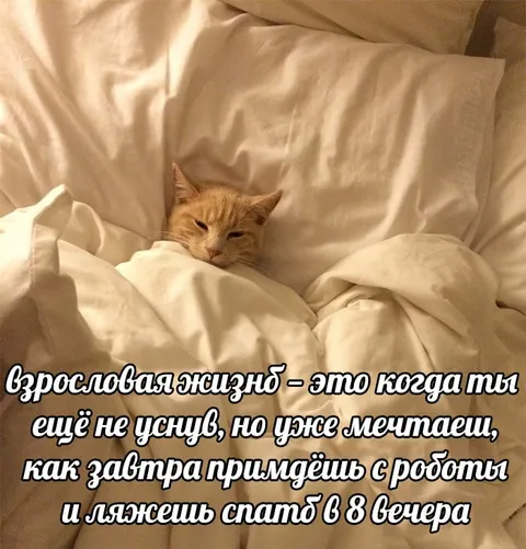 Мечты о сне после работы