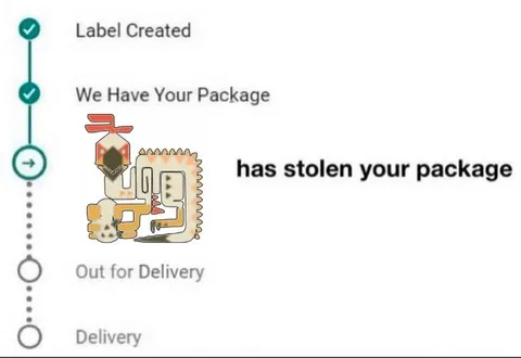 Package Has Been Stolen