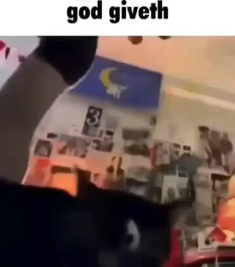 God Giveth Cat Reaction