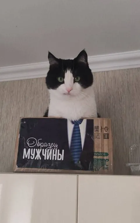 Образец настоящего мужчины