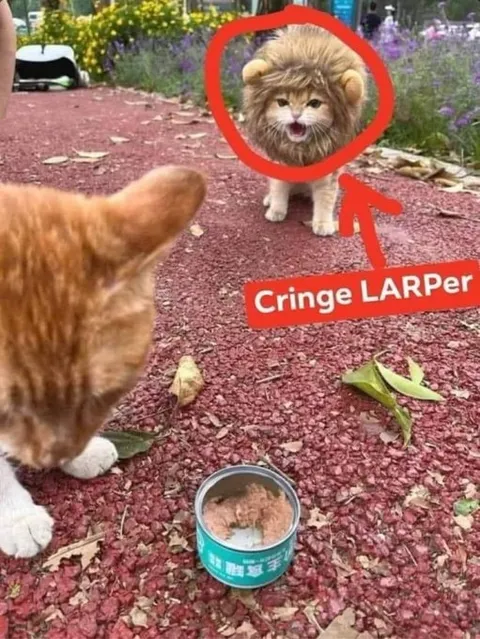 Cringe LARPer Cat