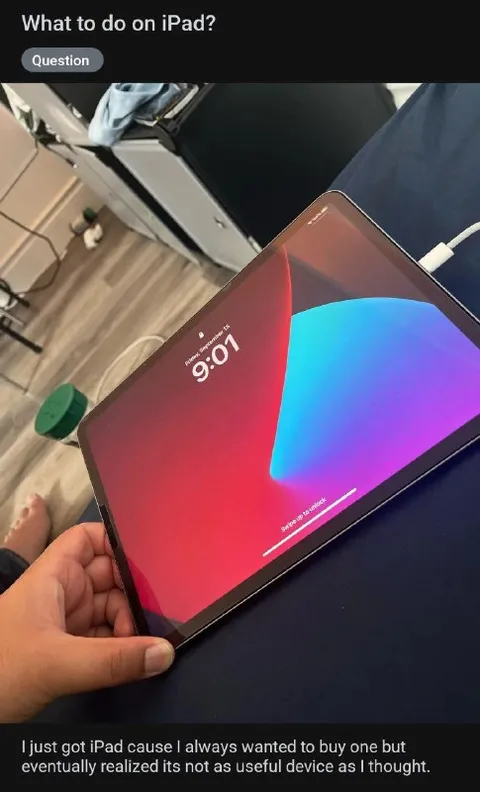 iPad Turns Out Useless