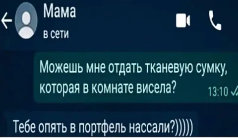 Сумка вместо портфеля