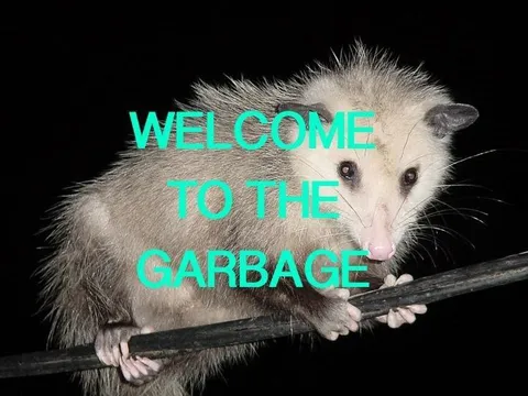 Welcome to the Garbage Opossum