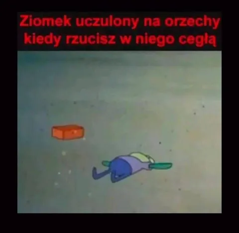 Ziomek uczulony na orzechy