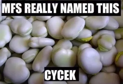 They Really Named This Гусек