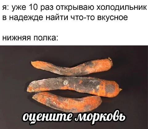 Нижняя полка холодильника