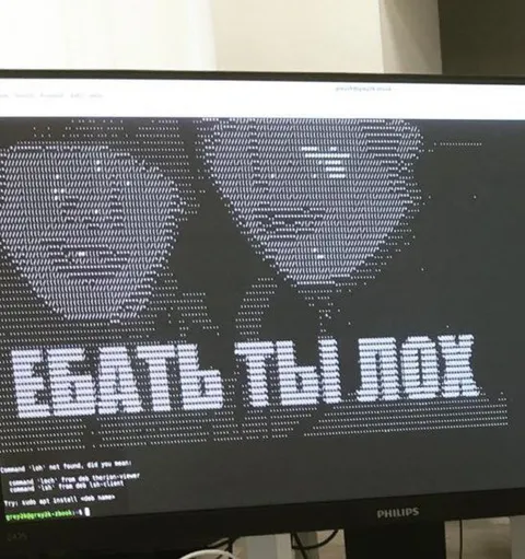 ASCII Art Error Screen