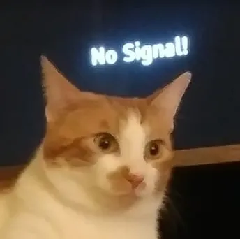 No Signal Cat Reaction