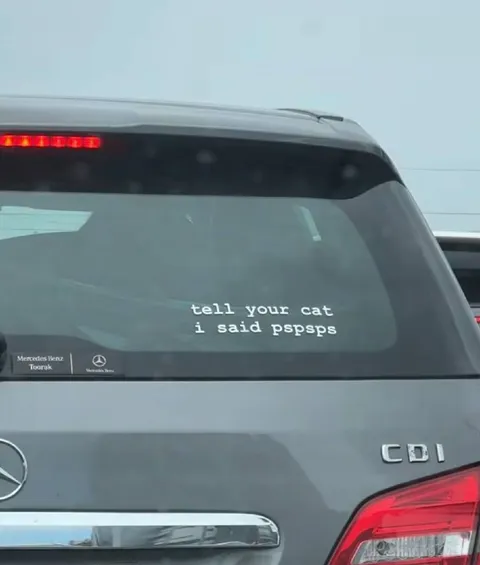 Tell Your Cat I Said Pspsps