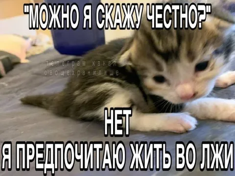Предпочитаю жить во лжи