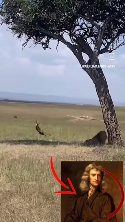 Лев под яблоней Ньютона