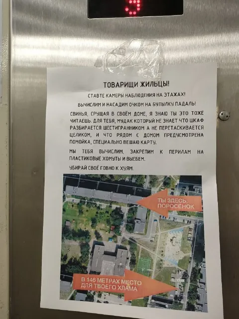 Свинья, срущая в своём доме