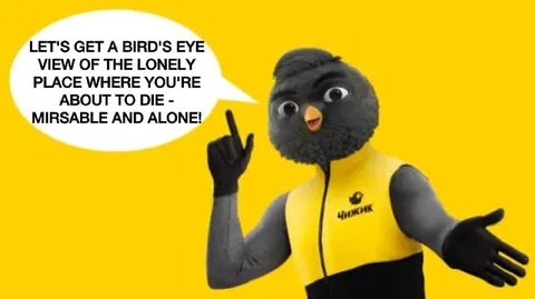 Bird's Eye View of Loneliness