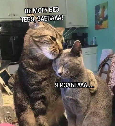Не могу без тебя, заебала