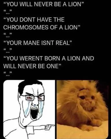 You Will Never Be a Lion
