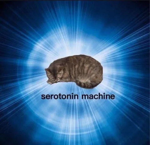 Serotonin Machine Cat