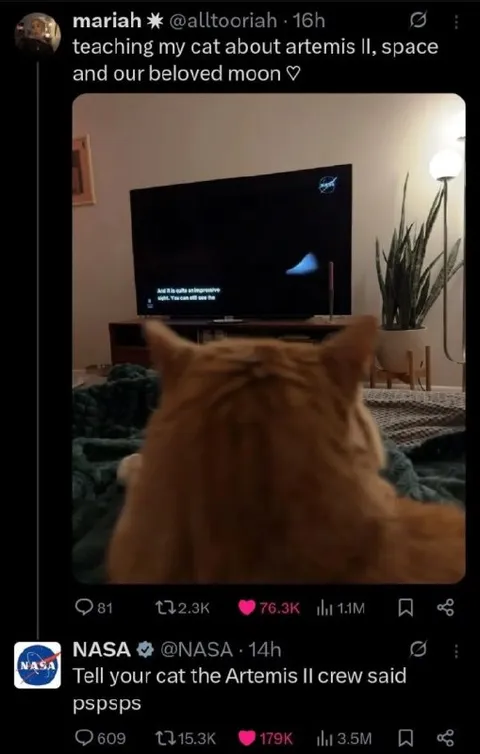 Teaching Cat About Artemis II
