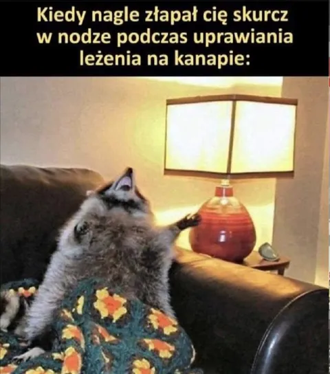 Skurcz nogi na kanapie