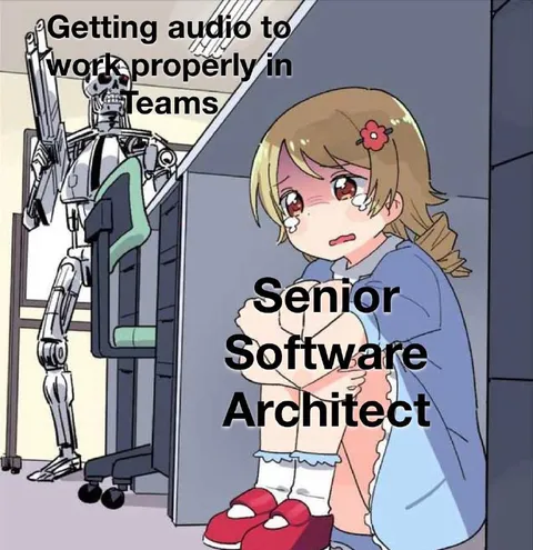 Senior Software Architect Cries Over Teams Audio