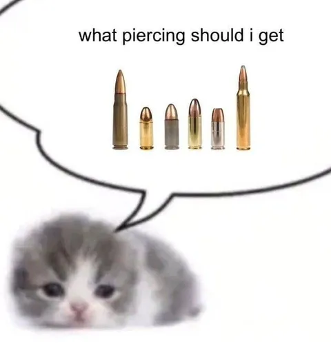 Cat Chooses a Bullet Piercing