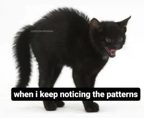 Cat Notices the Patterns