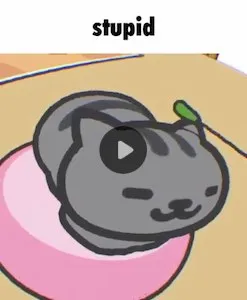 Stupid Sleeping Cat