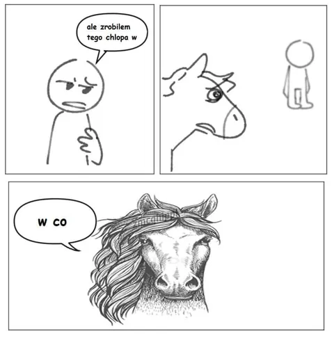 Ale zrobiłem tego chłopa w co
