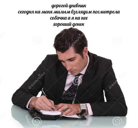 Хороший денёк и взгляд собачки