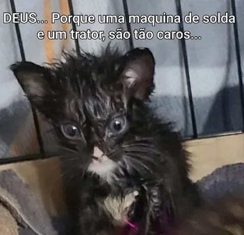 Máquina de solda e trator caros
