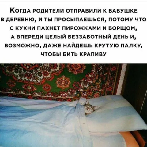 У бабушки в деревне