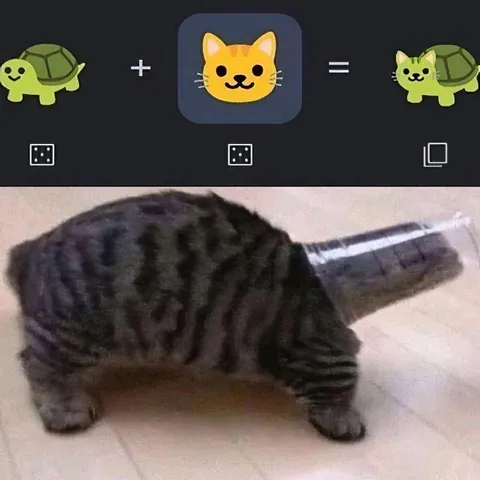Кот плюс черепаха