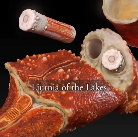Liurnia of the Lakes Fish