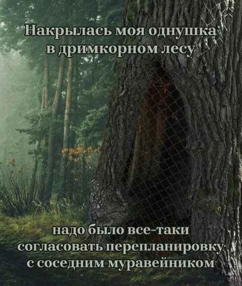 Перепланировка в муравейнике