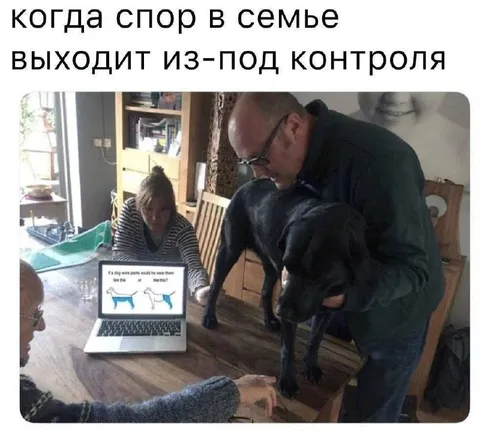 Спор о штанах для собаки