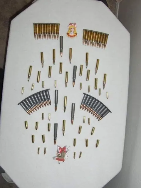 Боеприпасы в форме кота
